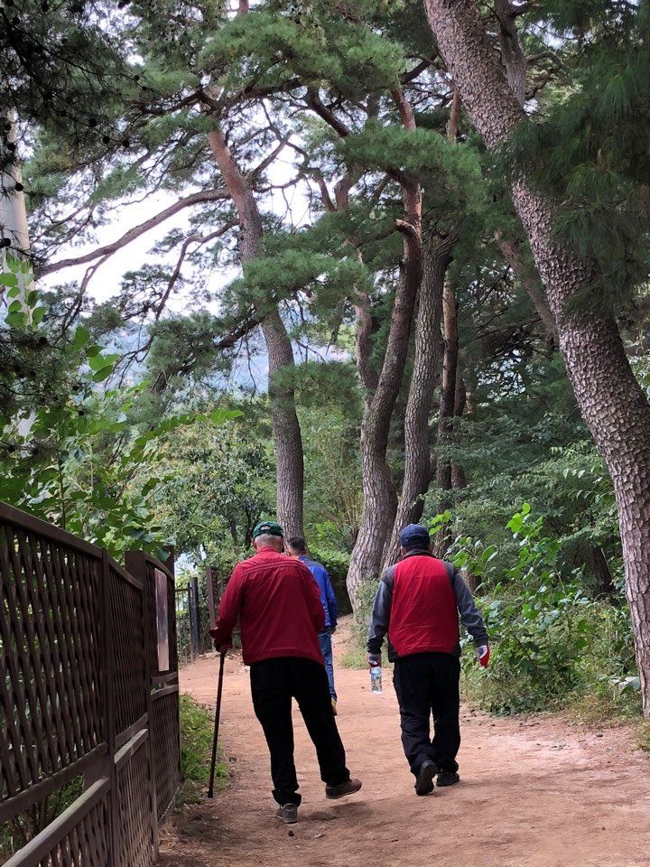 경주남산을 오르는 이용고객의 뒷모습