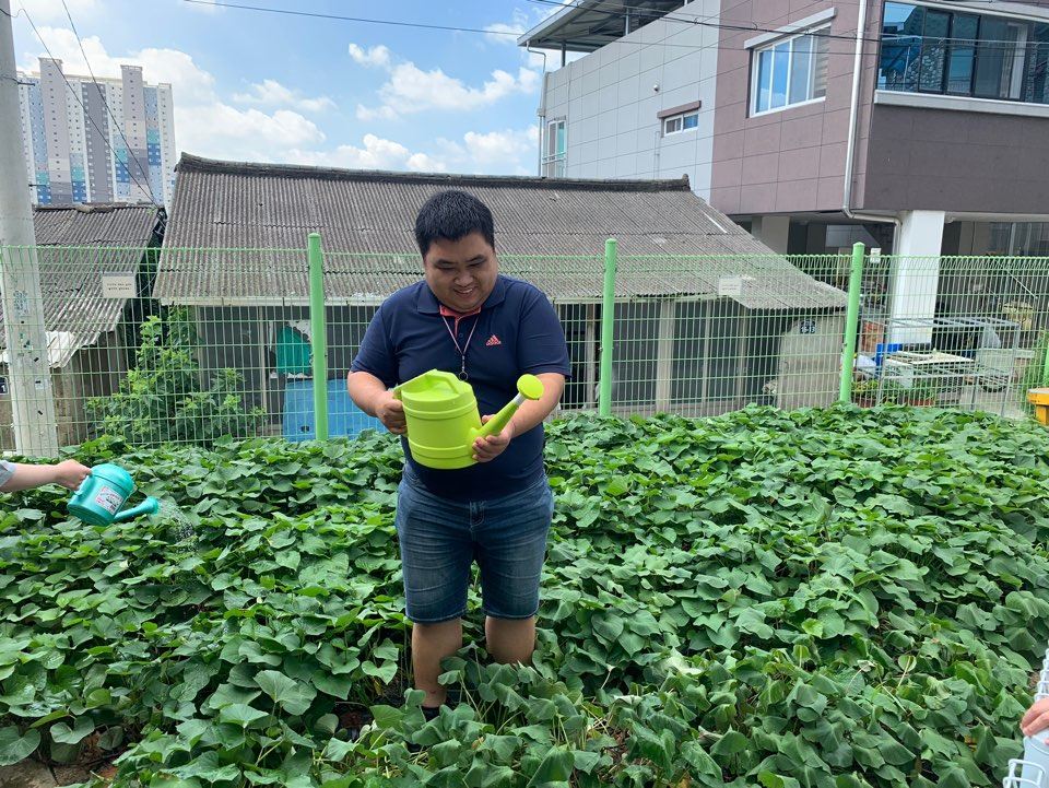 고구마밭에 물을 주고 있는 이용고객의 모습