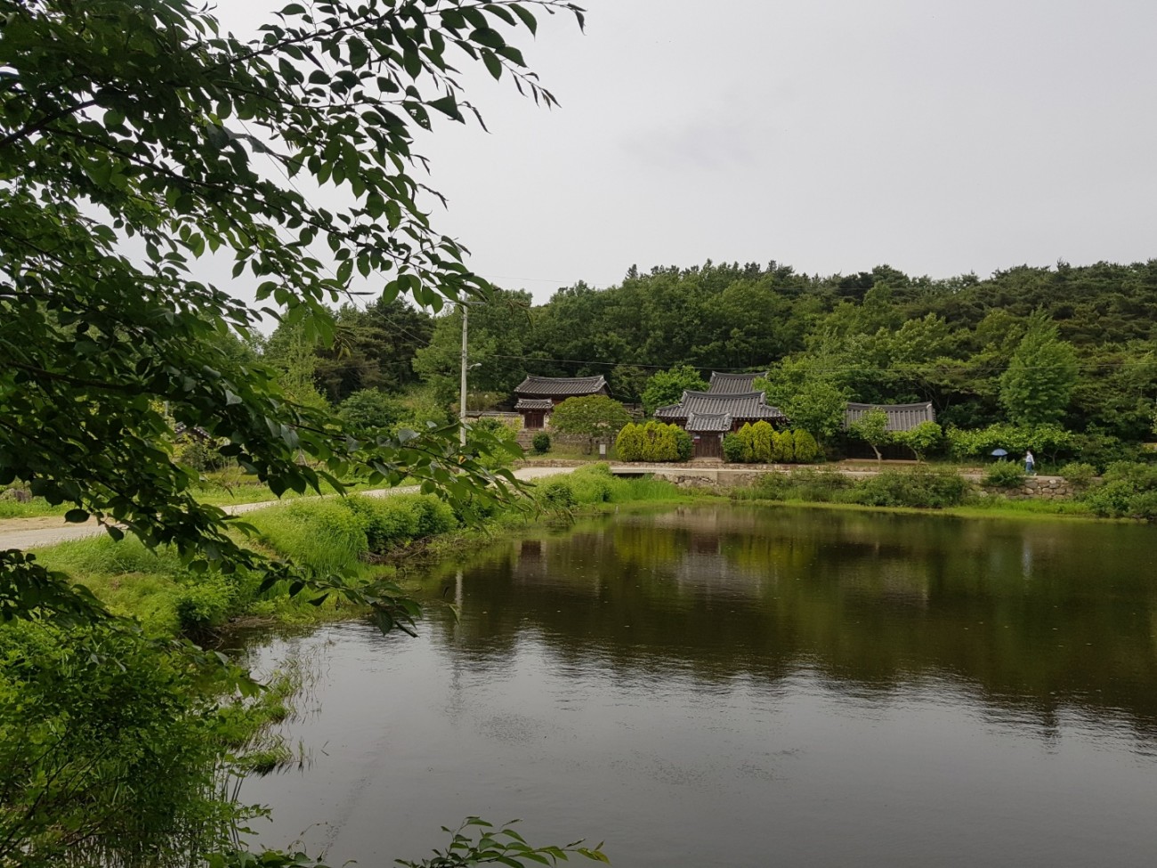 사진교실 도계서원