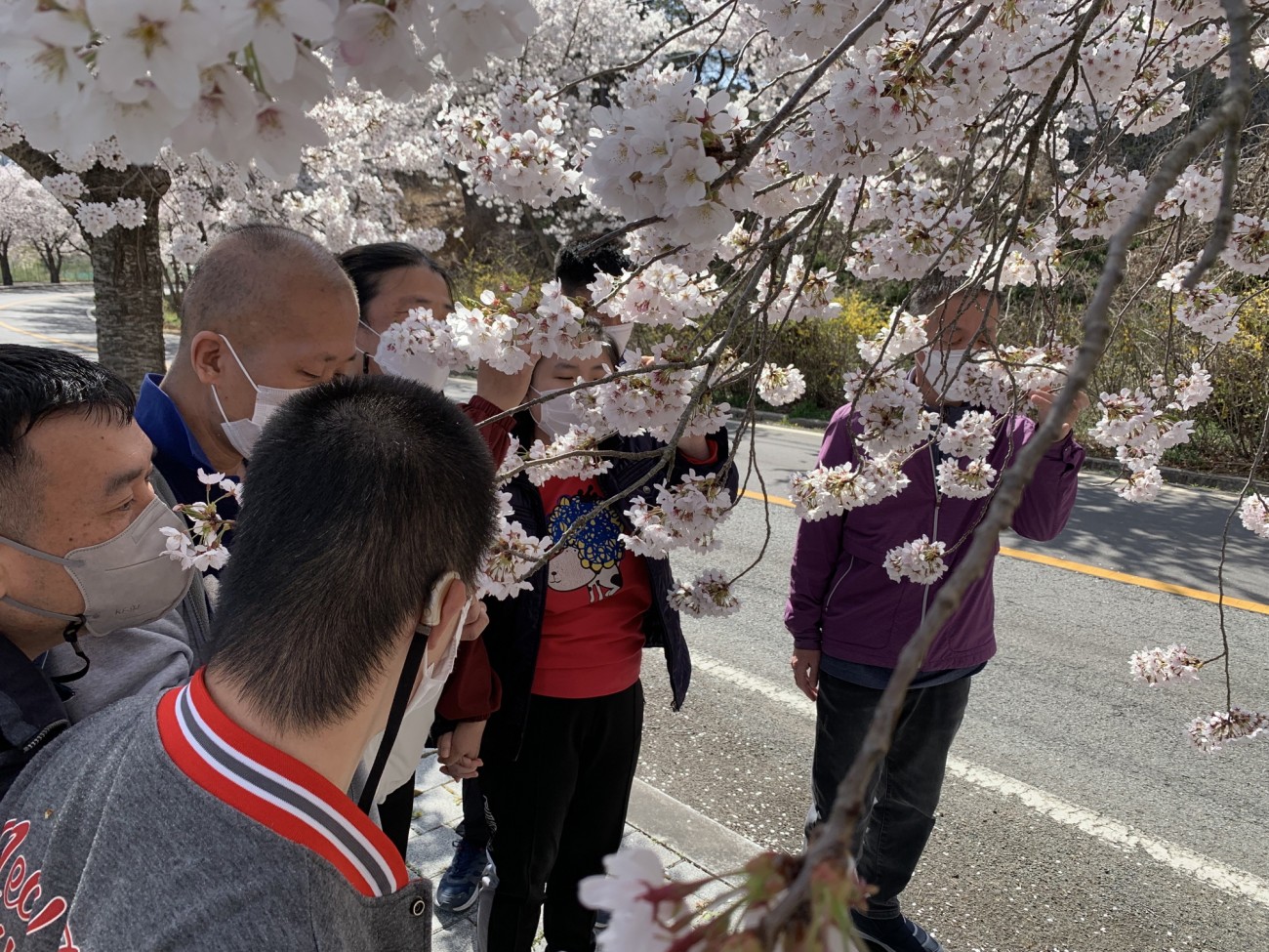 주간보호센터 외부활동