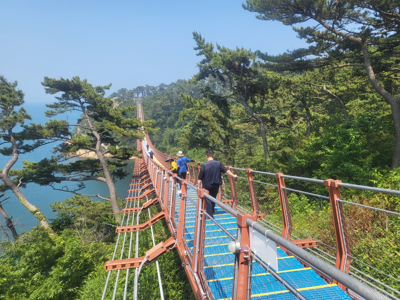 레포츠 교실(울산 대왕암 출렁다리)